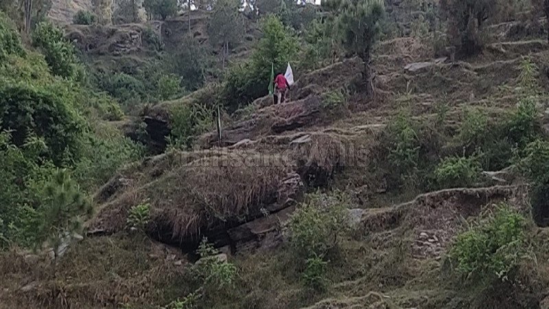 ₹24 Lac | 300 sq.yards residential plot for sale  in sunderkhal nainital