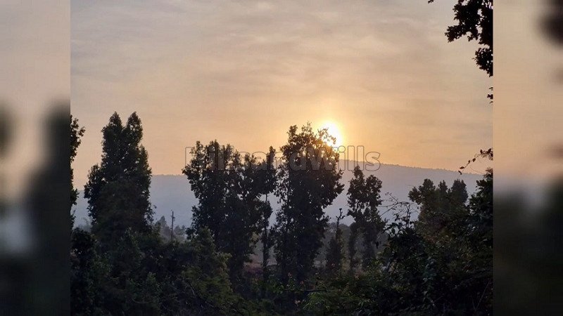 ₹1.75 Cr | 1170 sq.yards agriculture land for sale  in chowki dhaulas dehradun