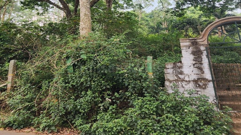 ₹1.59 Cr | 4548 sq.ft. residential plot for sale  in yercaud