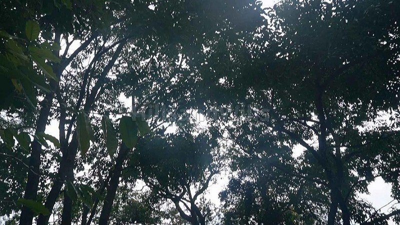 ₹1.10 Cr | 6 acres agriculture land for sale  in vadakavunji kodaikanal