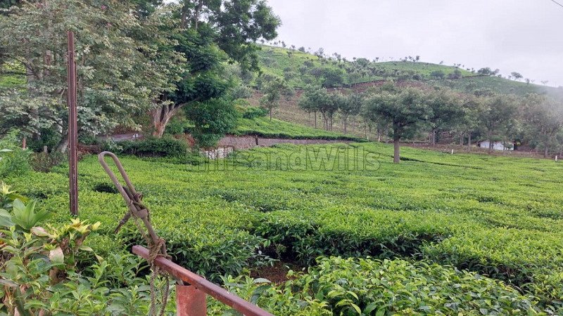 ₹250 Cr | 570 acres tea estate for sale  in coonoor