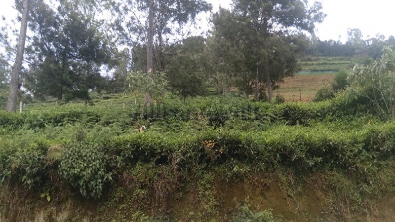 ₹36 Lac | 24 cents agriculture land for sale  in kunnihatty kotagiri