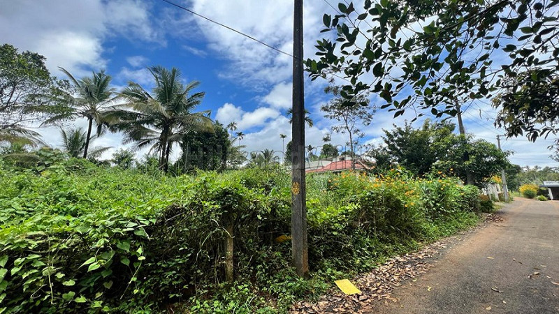 ₹25 Lac | 12.5 cents residential plot for sale in ambalavayal wayanad