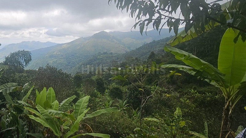 ₹7.26 Cr | 22 acres agriculture land for sale  in vadakavunji kodaikanal