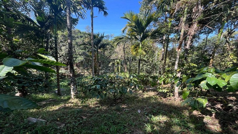 ₹4.50 Cr | 2 acres residential plot for sale in sulthan bathery wayanad