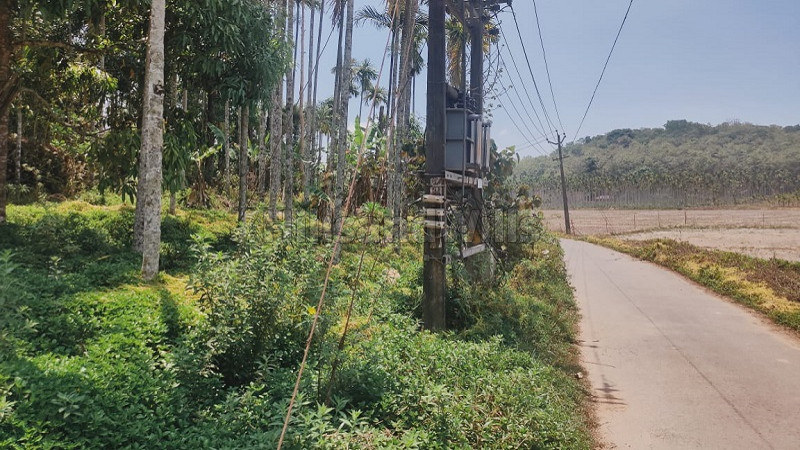 ₹15 Lac | 40 cents residential plot for sale in sulthan bathery wayanad