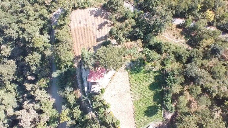₹6 Cr | 33 bigha  kiwi orchard with cottage for sale  in waknaghat solan