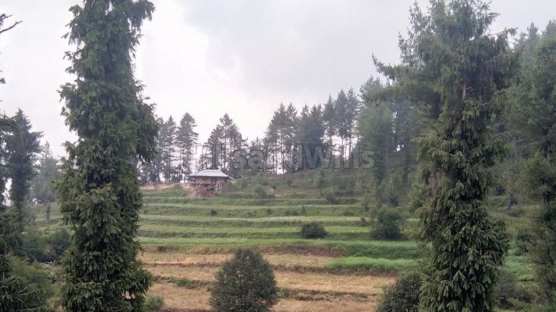 ₹90 Lac | 5 bigha commercial land  for sale in mandi kullu-manali