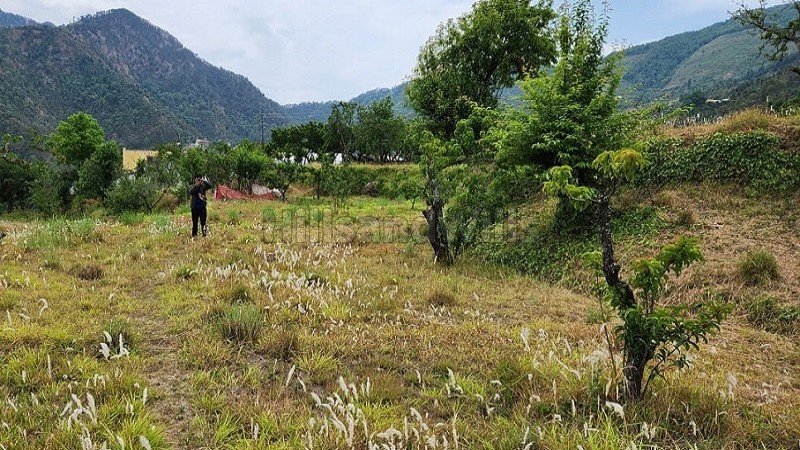 ₹25 Lac | 75 nali commerical land for sale  in talla ramgarh near nainital