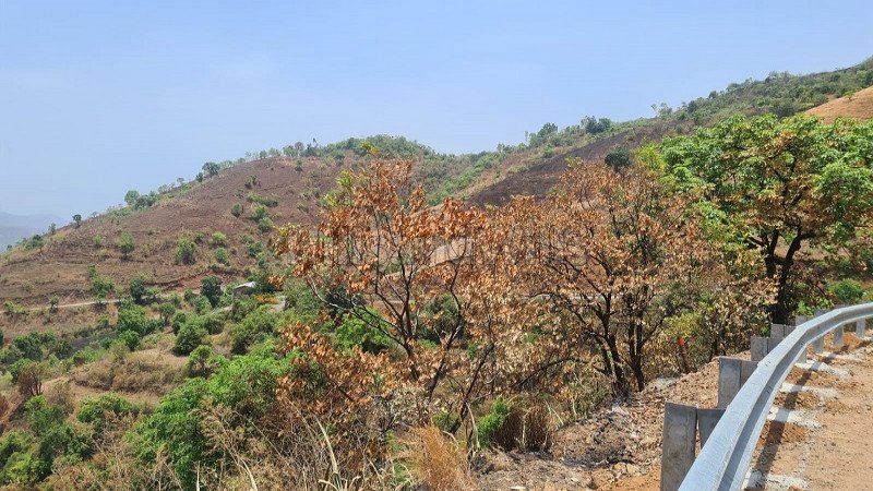 ₹17 Cr | 17 acres agriculture land for sale in nadgane mahabaleshwar