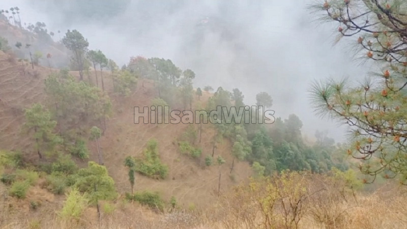 ₹8 Cr | 92 bigha commercial land  for sale in chail shimla