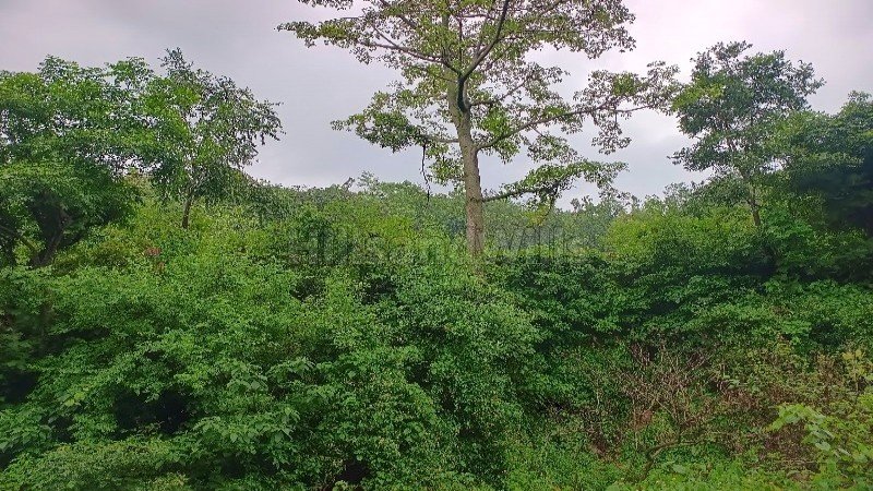 ₹56 Lac | 172.5 sq.yards  doon valley view residential plot for sale  in danda lakhond dehradun