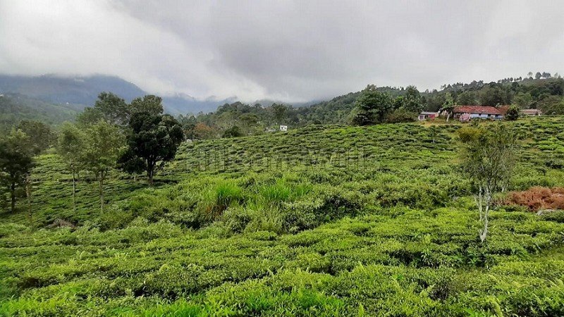 ₹52.50 Lac - 1 Cr | 21 cents - 40 cents residential plot for sale  in aravenu kotagiri