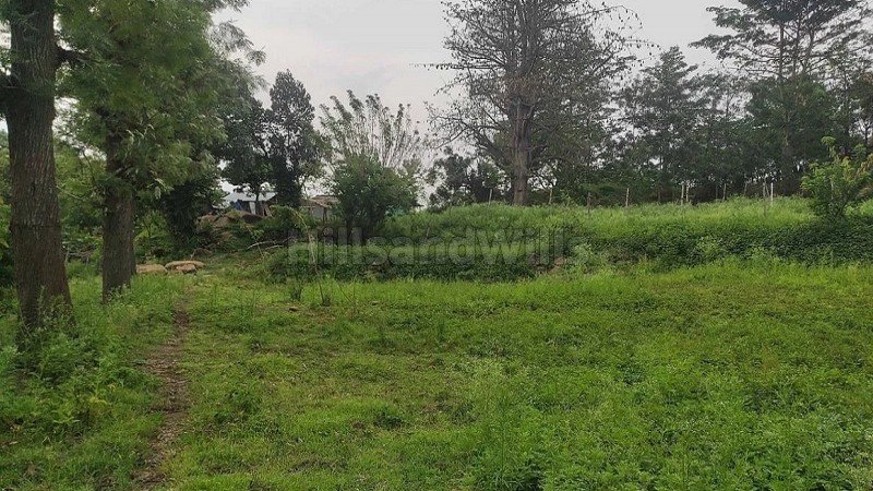₹1.55 Cr | 5 acres agriculture land for sale  in pallangi kodaikanal