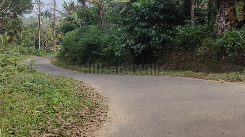 ₹1 Cr | 1 acres agriculture land for sale  in ambalavayal wayanad