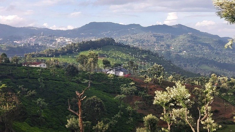 ₹1.12 Cr | 25 cents residential plot for sale  in hulical coonoor