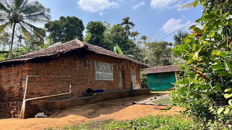 ₹60 Lac | 2bhk farm house for sale  in panamaram wayanad