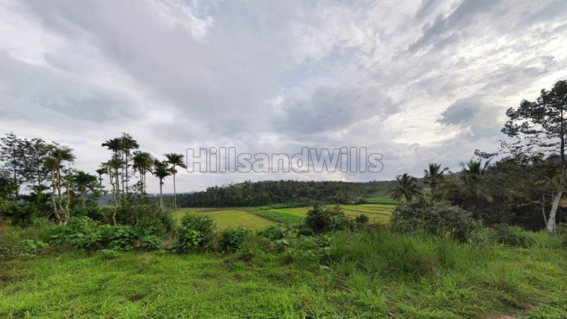 ₹2 Cr | 4 acres agriculture land for sale in sulthan bathery wayanad