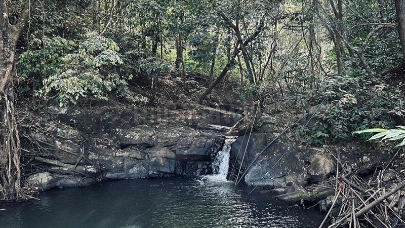 ₹3.50 Cr | 2bhk farm house for sale in vagamon idukki