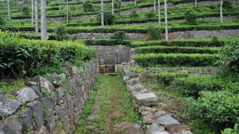 ₹3.25 Cr | 69 cents tea estate for sale  in konavakarai kotagiri