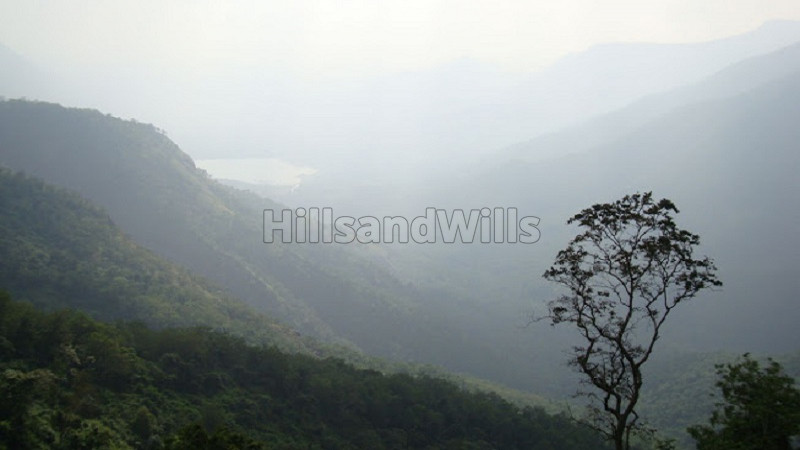 ₹91.50 Lac | 183 cents agriculture land for sale in thandikudi kodaikanal