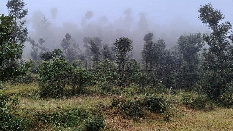 ₹43.20 Lac - 2.16 Cr | 4320 sq.ft. - 21600 sq.ft. residential plot for sale  in mall road, almora near nainital