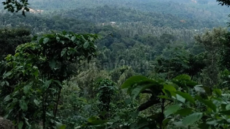 ₹65 Lac | 1.75 acres agriculture land for sale  in mudigere chikmagalur