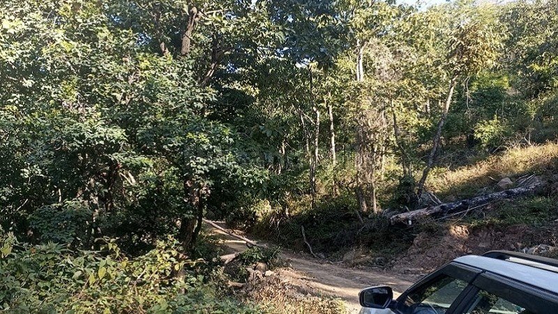 ₹70 Lac | 12 bigha agriculture land for sale in kasauli hills solan