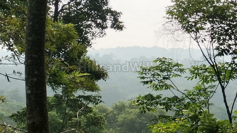 ₹10.80 Cr | 18 acres agriculture land for sale in madikeri coorg