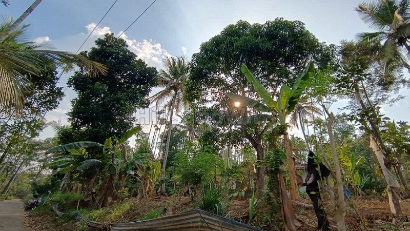 ₹35 Lac | 1 acres residential plot for sale  in bathery wayanad