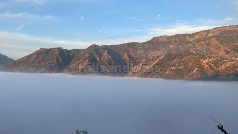 ₹40 Lac | 7 bigha agriculture land for sale  in itharana bhogpur dehradun