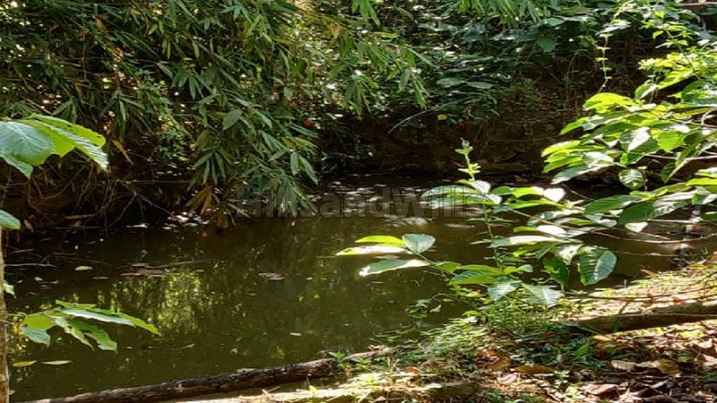₹2 Cr | 4 acres agriculture land for sale  in kalasa, samse chikmagalur