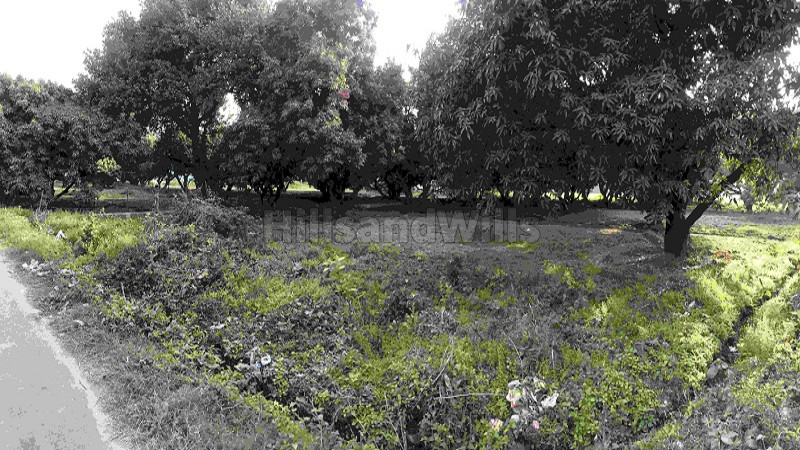 ₹11 Lac | 1200 sq.ft. commercial land  for sale in ramnagar nainital