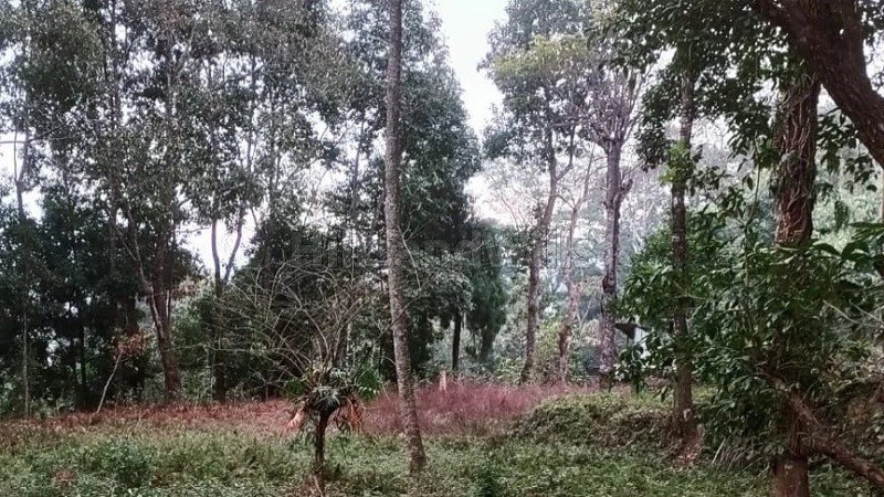 ₹4 Cr | 2900 sq.meter  himalayan view residential plot for sale  in kalimpong darjeeling