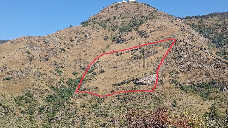 ₹2 Cr | 30 bigha residential plot for sale  in chail solan