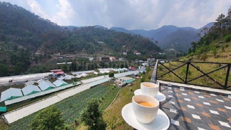 ₹30 K&nbsp;|&nbsp;3bhk  scandinavian style cottage for rent  near bhimtal nainital