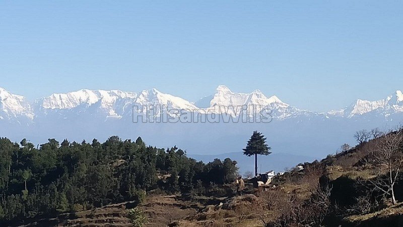 ₹1.50 Cr | 95040 sq.ft. commerical land for sale  in almora near nainital