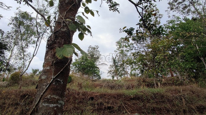 ₹1.99 Cr | 199 cents residential plot for sale in banasura dam wayanad