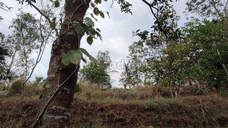 ₹1.99 Cr | 199 cents residential plot for sale  in banasura dam wayanad