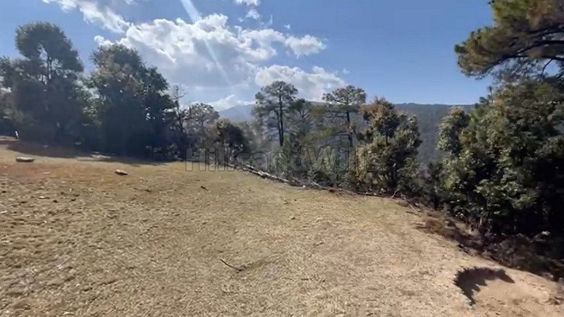 ₹10 Lac | 1 nali commercial land  for sale in mukteshwar nainital