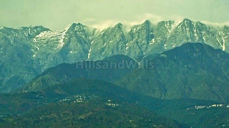 ₹8 Cr | 2 ares agriculture land for sale  near kangra dharamshala