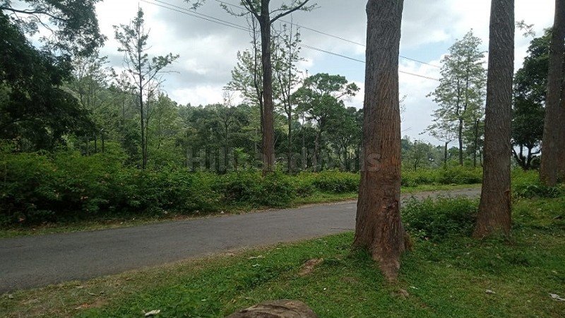 ₹78.75 Cr | 525 acres tea & coffee estate with sandal wood trees for sale  in kotagiri