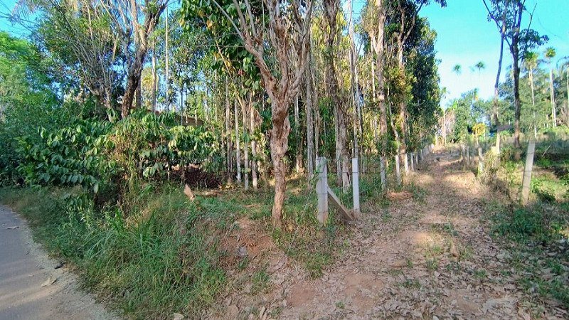 ₹70 Lac | 25 cents commercial land  for sale in pulpally wayanad