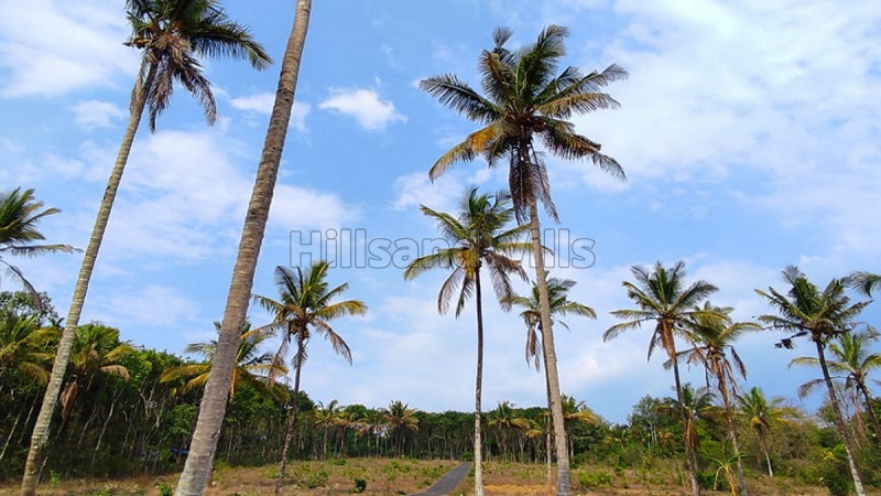 ₹10 Lac | 25 cents residential plot for sale in poothadi wayanad