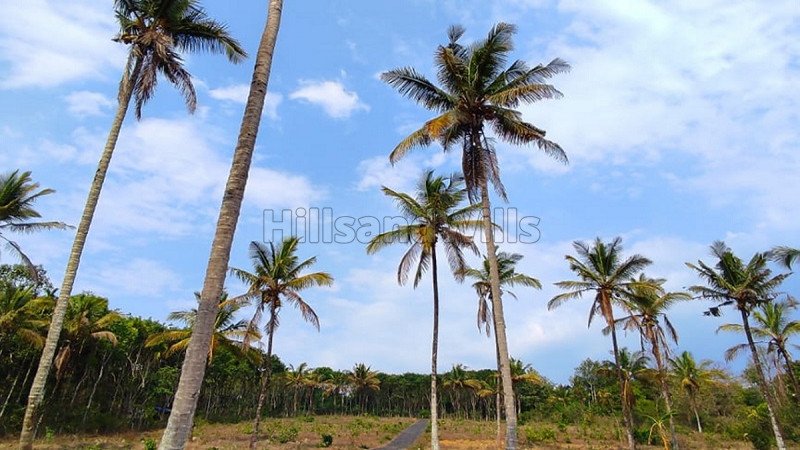 ₹10 Lac | 25 cents residential plot for sale  in poothadi wayanad