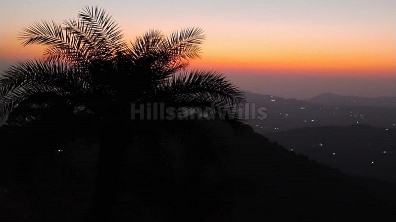 ₹70 Lac | 12 bigha agriculture land for sale in kasauli hills solan