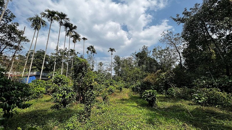 ₹25.02 Lac | 18 cents residential plot for sale  in bathery wayanad
