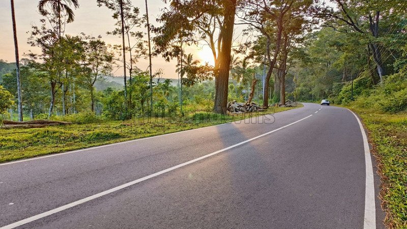 ₹75 Lac | 110.5 cents residential plot for sale  in bathery wayanad