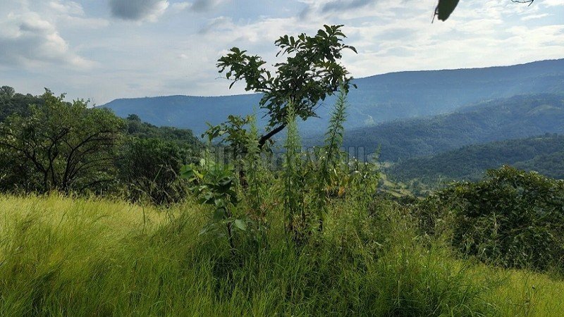 ₹20 Lac | 66 guntha dam view land for sale near tapola & mahabaleshwar