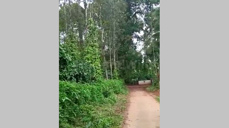 ₹2.36 Cr | 10.5 acres Agriculture Land For Sale in Napoklu Coorg
